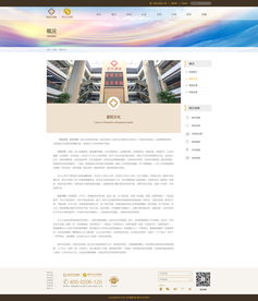 構(gòu)建以患者為中心的醫(yī)院網(wǎng)站 網(wǎng)頁(yè)與網(wǎng)站設(shè)計(jì)的核心原則